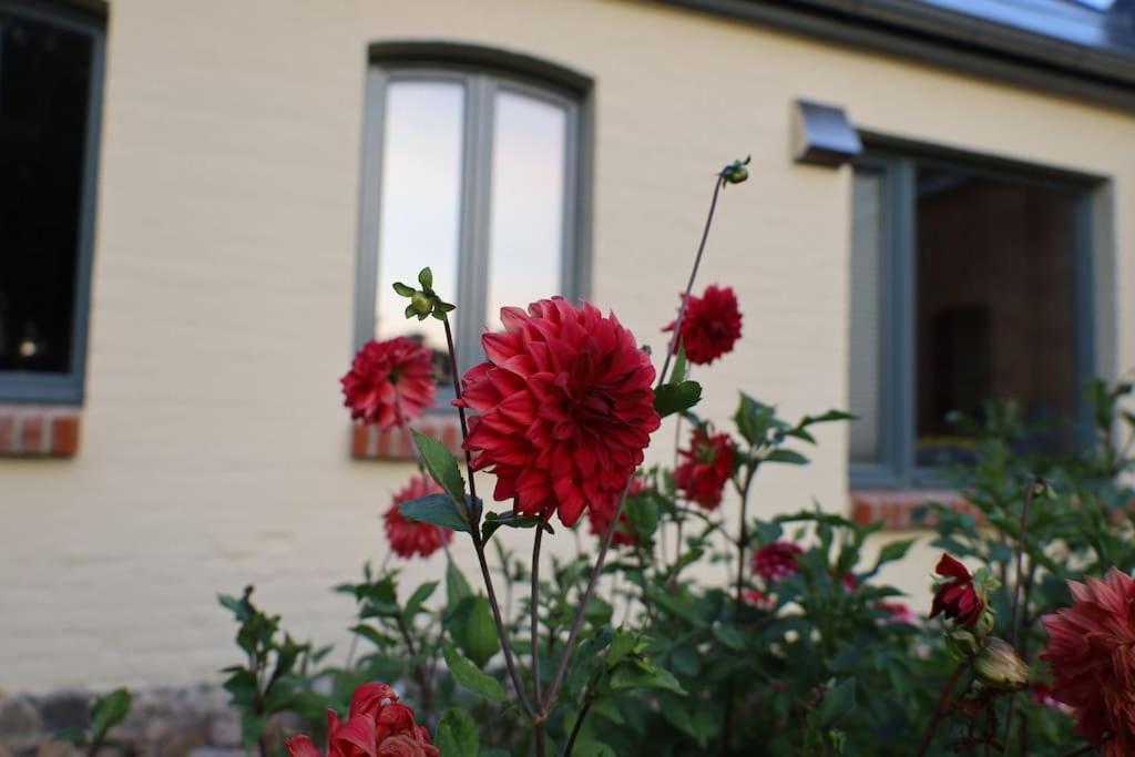 Bullenberg Ferienhaus Schwarz